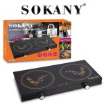 Double plate induction cooker