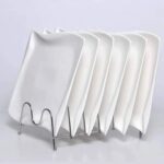 6pc Dinner plates