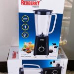 4 in one redberry blender