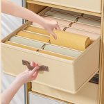 Partitioned closet organizer